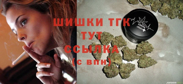 дживик Елабуга