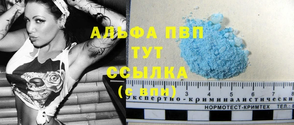 PSILOCYBIN Горняк