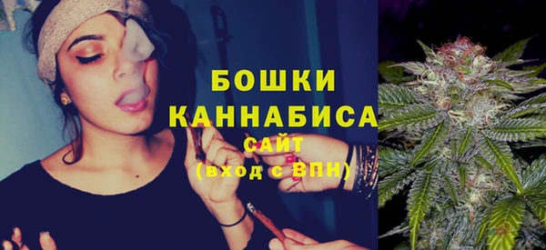 PSILOCYBIN Горняк