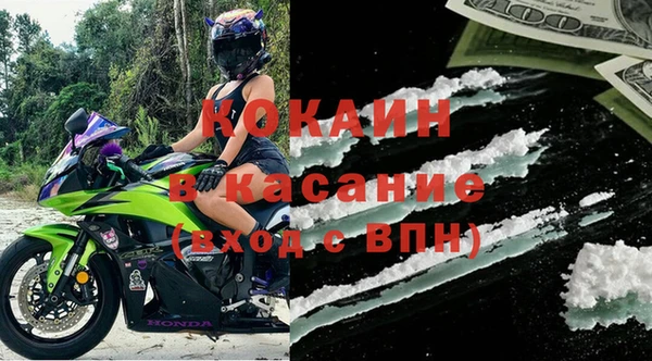 PSILOCYBIN Горняк