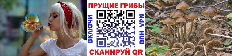 Галлюциногенные грибы прущие грибы  Купить где  Острогожск 